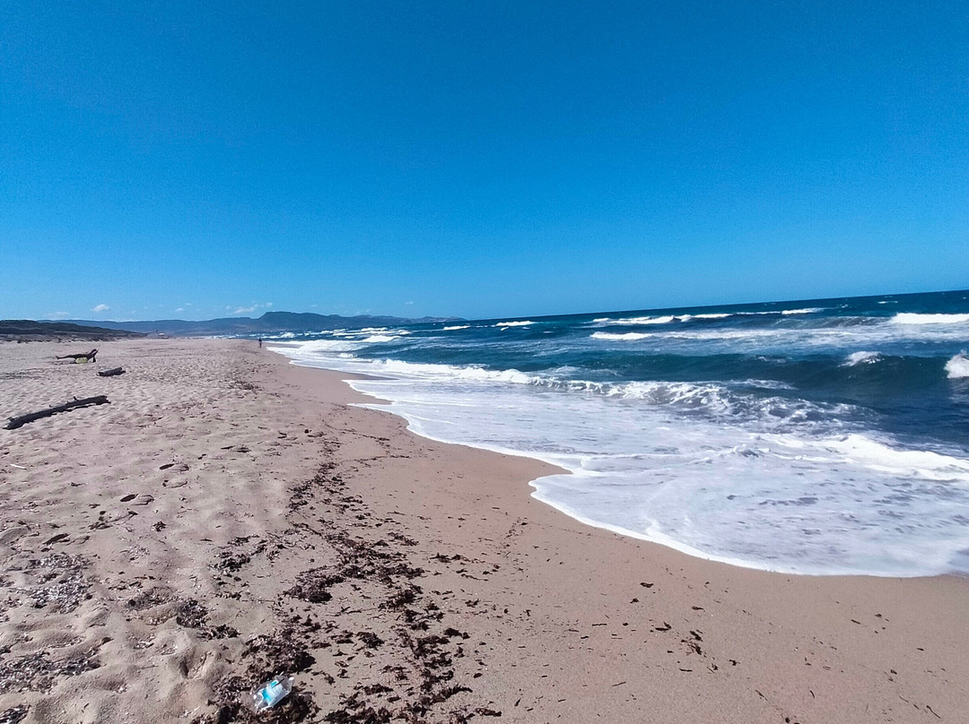 Spiaggia Li Junchi - Badesi-Badesi必去景点