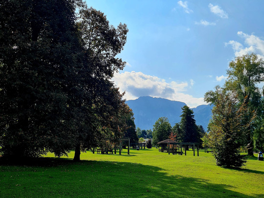 Hotel Ambassador主图