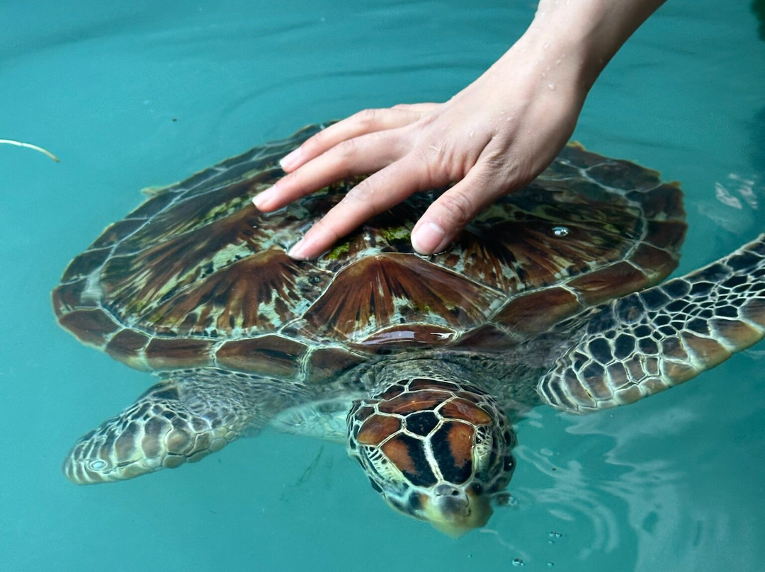 EXPLORER TOURS AND SAFARIS-乌罗阿必去景点