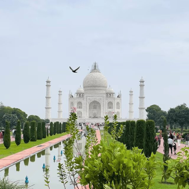 Indian Travel Tour - Private Day Tours-新德里必去景点