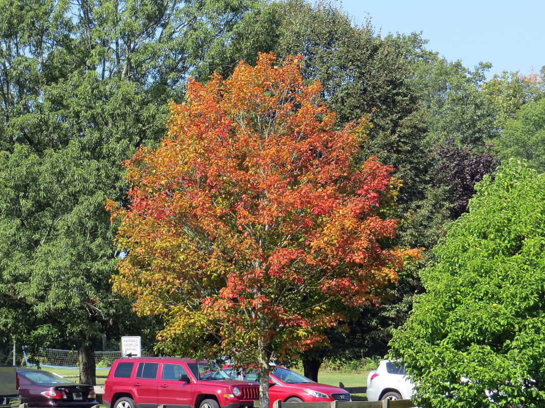 Chubb Park-Chester必去景点