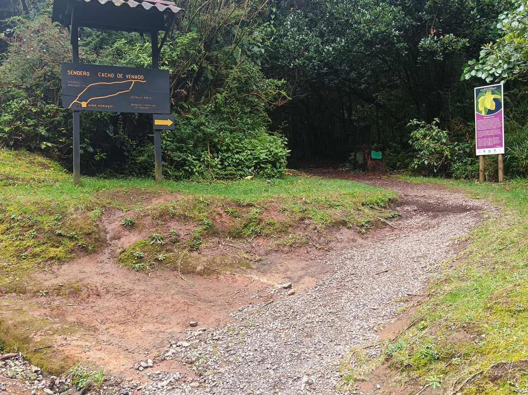 Volcán Barva-Barva必去景点