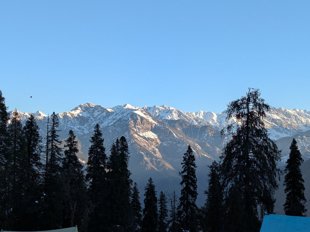 Himalayas Griffon-阿姆利则必去景点