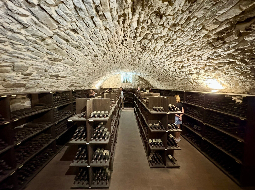 Castello di Albola-拉达因基安蒂必去景点