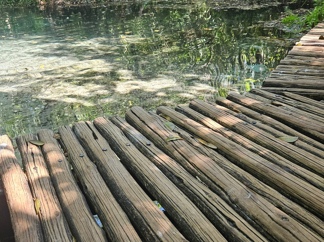 Areia que Canta-Brotas必去景点