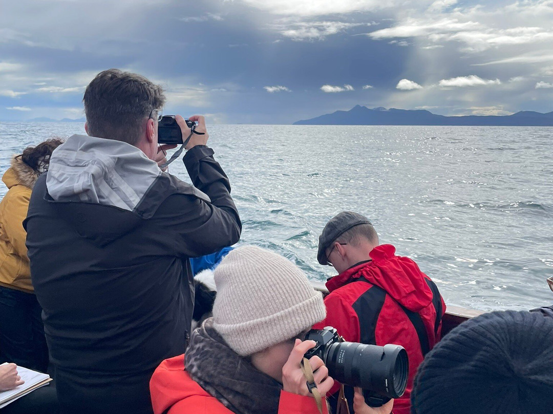 Misty Isle Boat Trips-Elgol必去景点