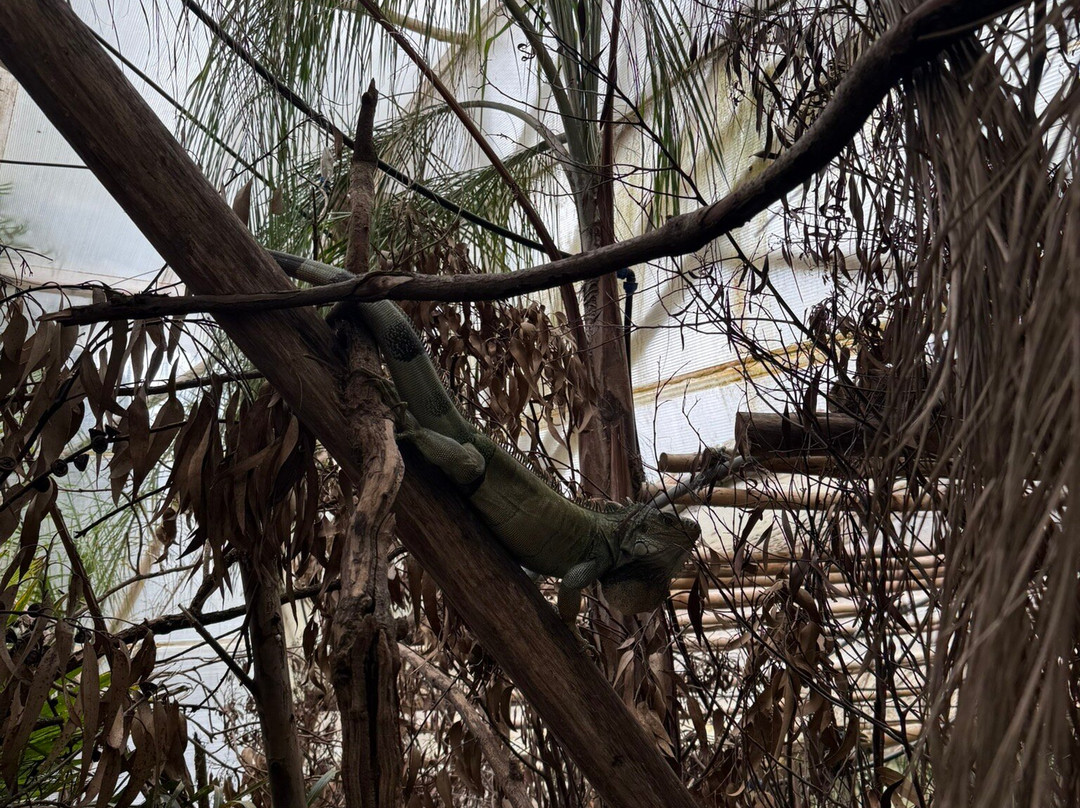 AMARU Bioparque Cuenca Zoologico-昆卡必去景点