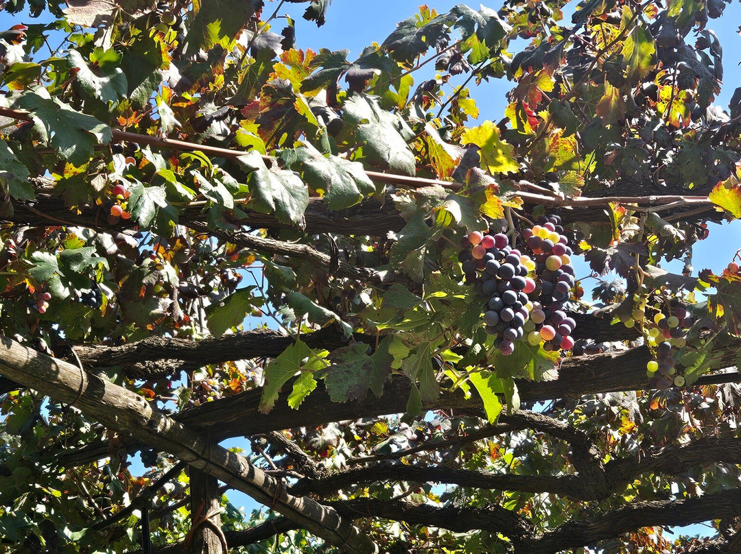 Tenuta San Francesco-Tramonti必去景点