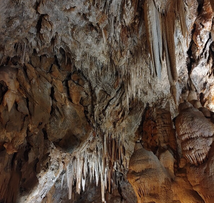 Grotte di Borgio Verezzi-Borgio Verezzi必去景点