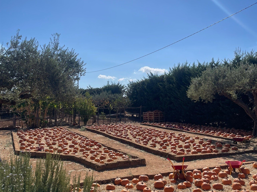 Fattoria Bassa Corte-Ribera必去景点