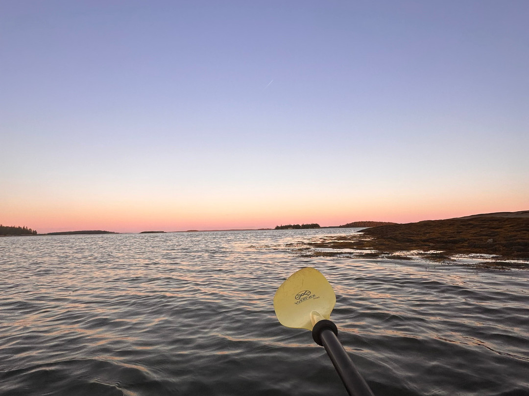 Osprey's Echo Sea Kayaking-Stonington必去景点