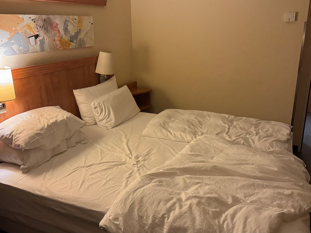 NH汉堡号角主图