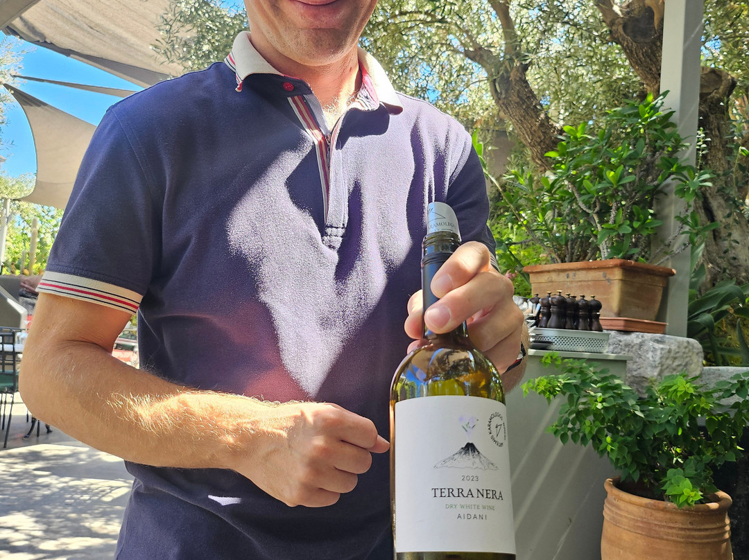 Santorini Wine Stories-圣托里尼必去景点