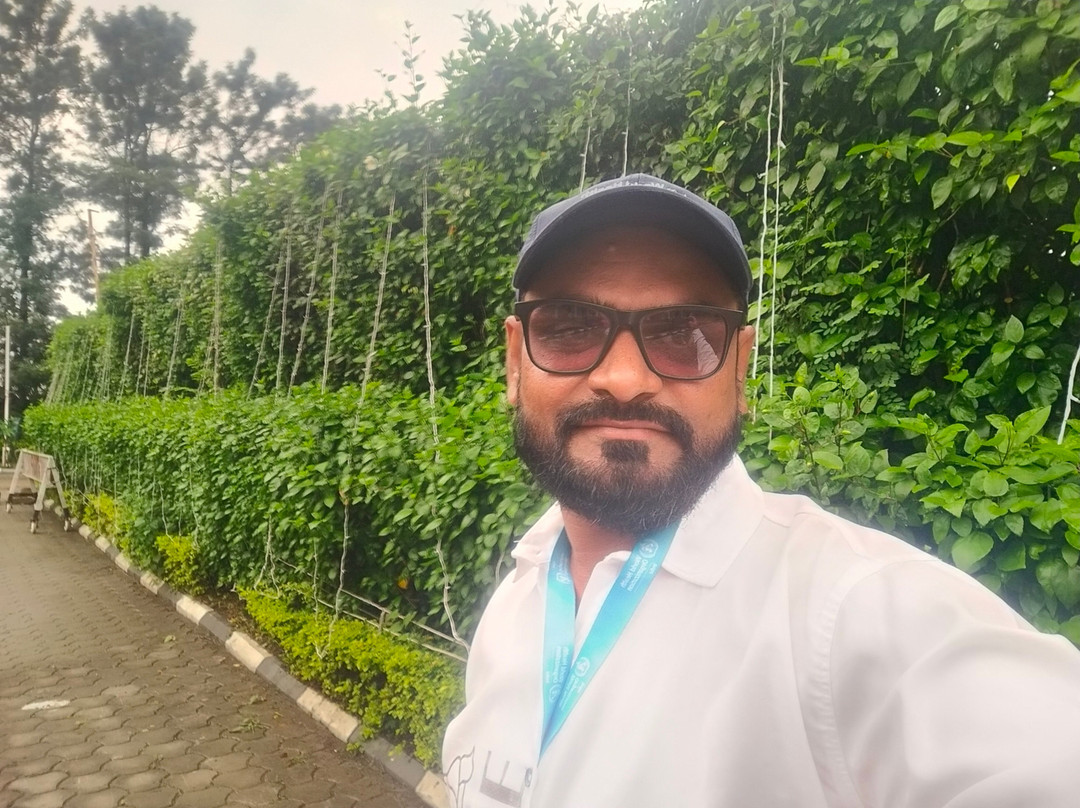 Hotel Amer Greens主图