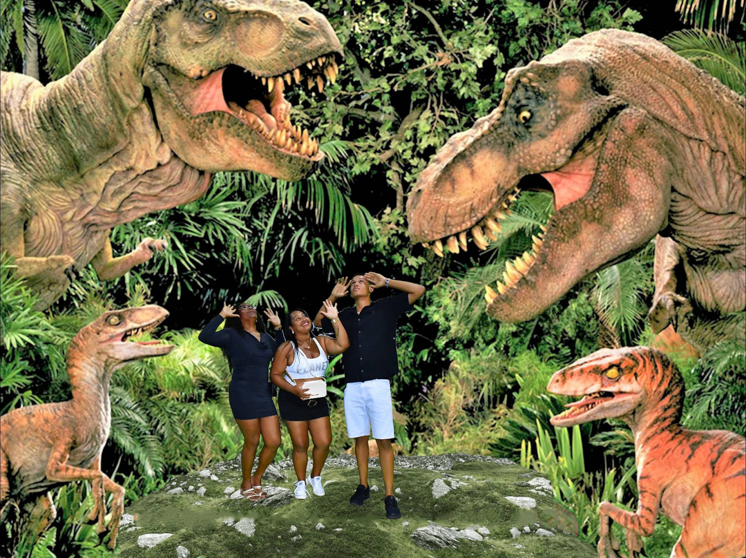 Dreams Park Show-伊瓜苏必去景点