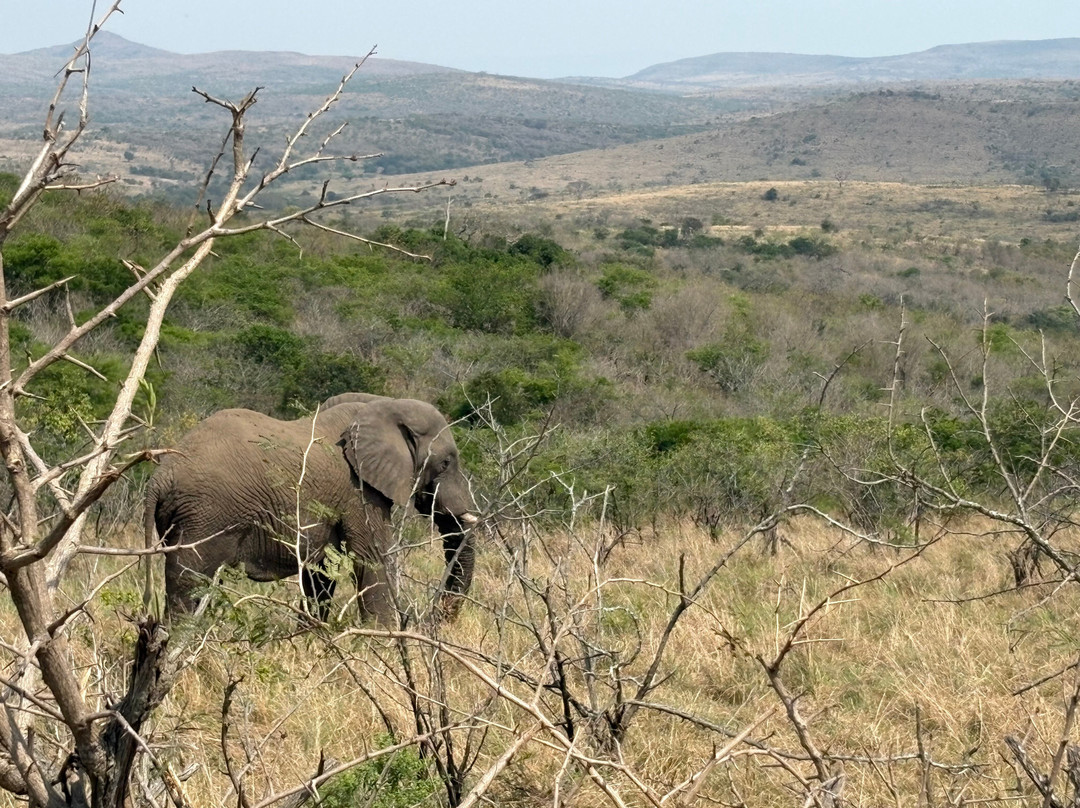 Dogs 4 Wildlife-赫卢赫卢韦必去景点