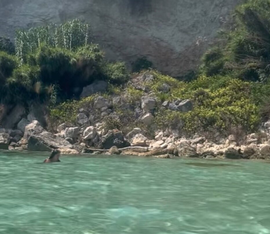 Marelive - CDSHotels主图