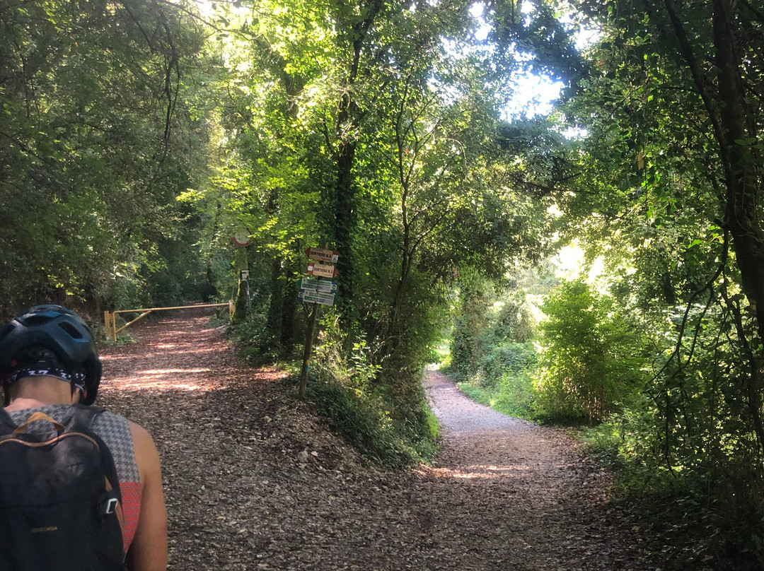 Thyrus Bike Rent-Piediluco必去景点