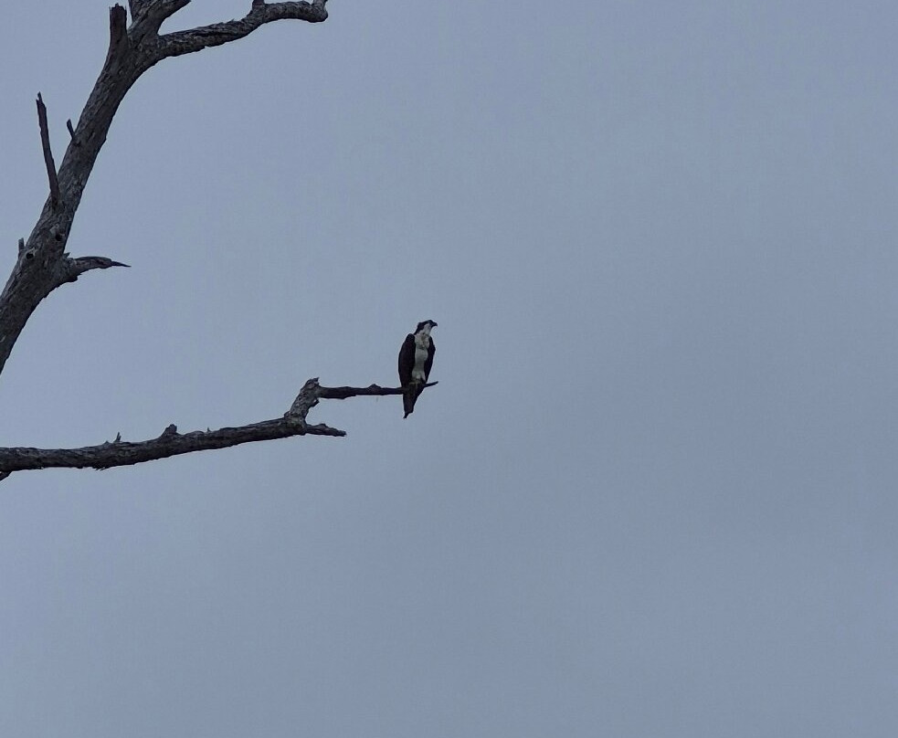Bolsa Chica Ecological Reserve-亨廷顿海滩必去景点