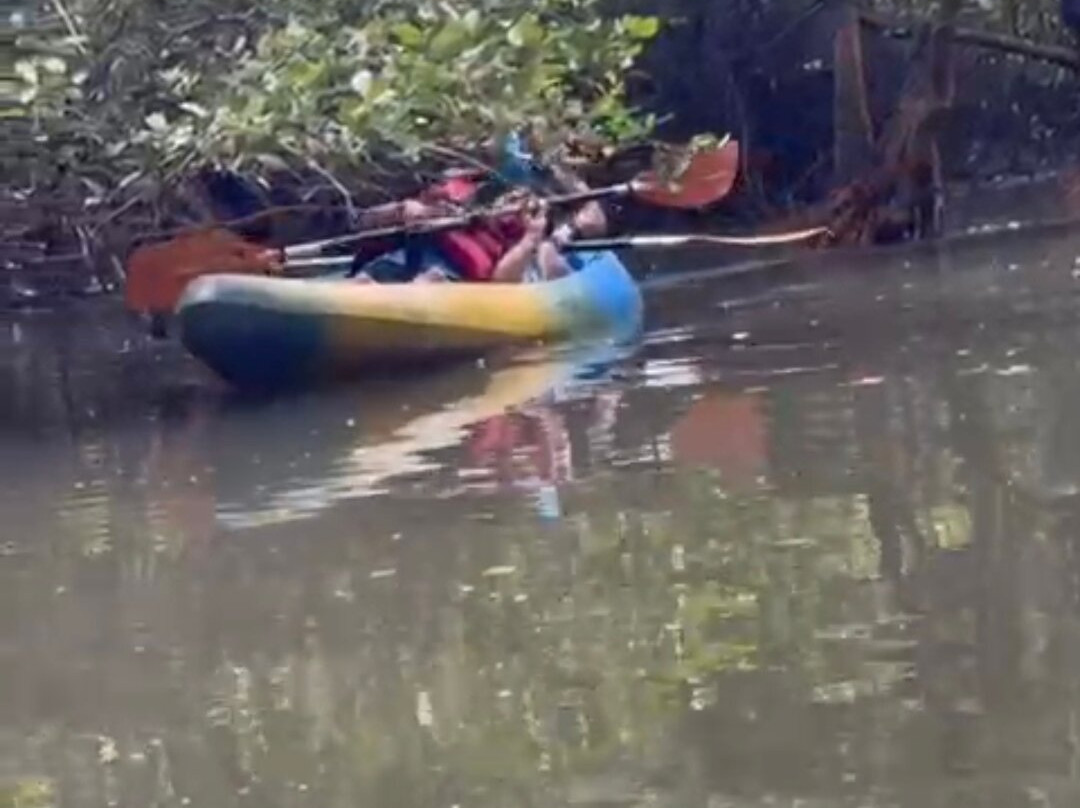 Local Goa Kayaking