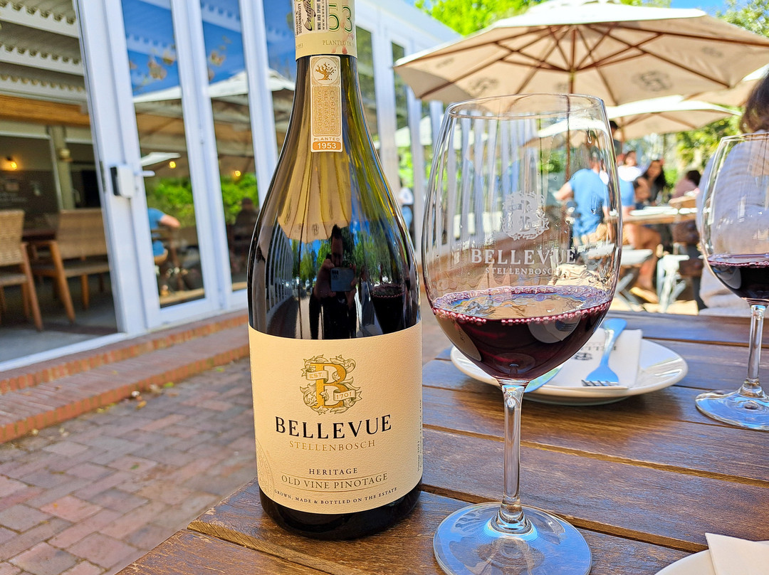 Bellevue Wine Estate-斯泰伦博斯必去景点