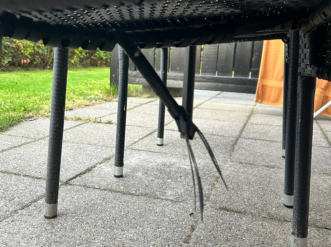 Landal Seawest主图