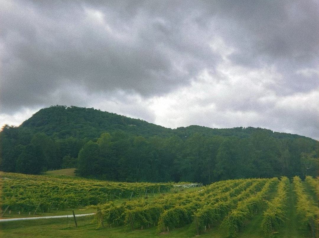 Tiger Mountain Vineyards-Tiger必去景点