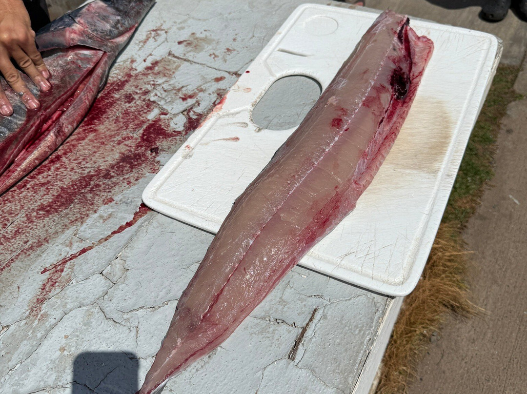 Strike Zone Sportfishing & Bottom Fishing-海库必去景点