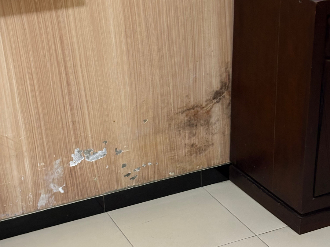 SM Bromo Hotel主图