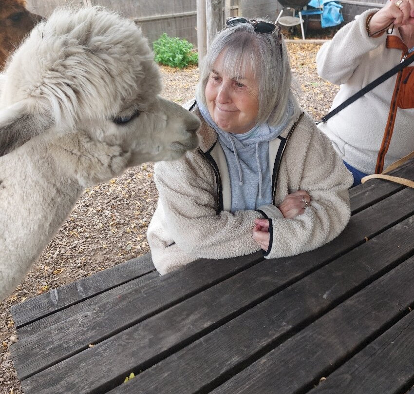 Lower Bush Alpacas-Cuxton必去景点