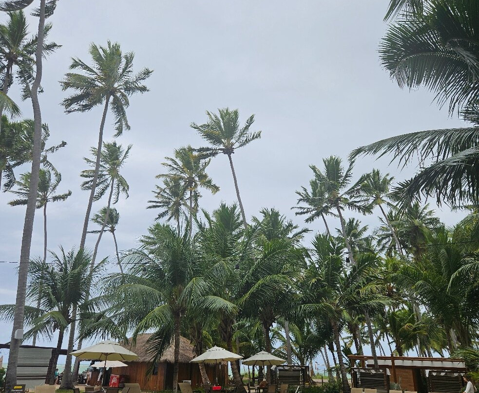 Briza Beach Club Carneiros-Tamandare必去景点