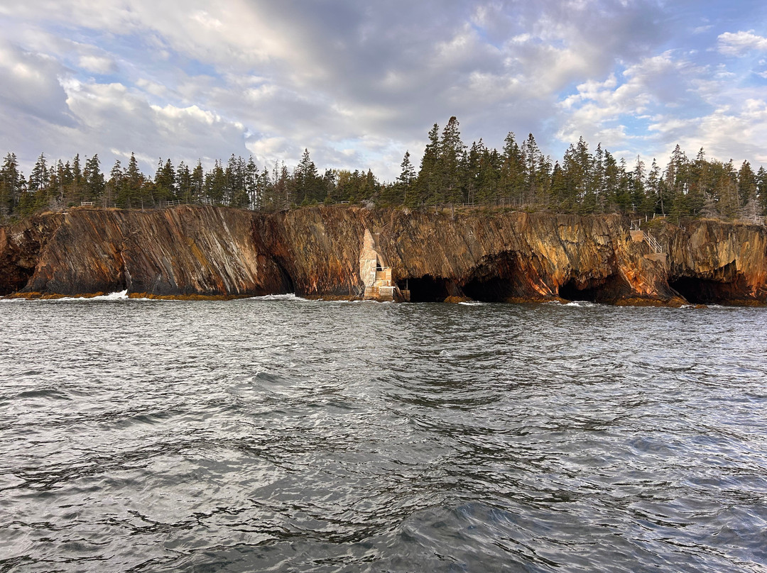 Lunenburg Ocean Adventures-卢嫩堡必去景点