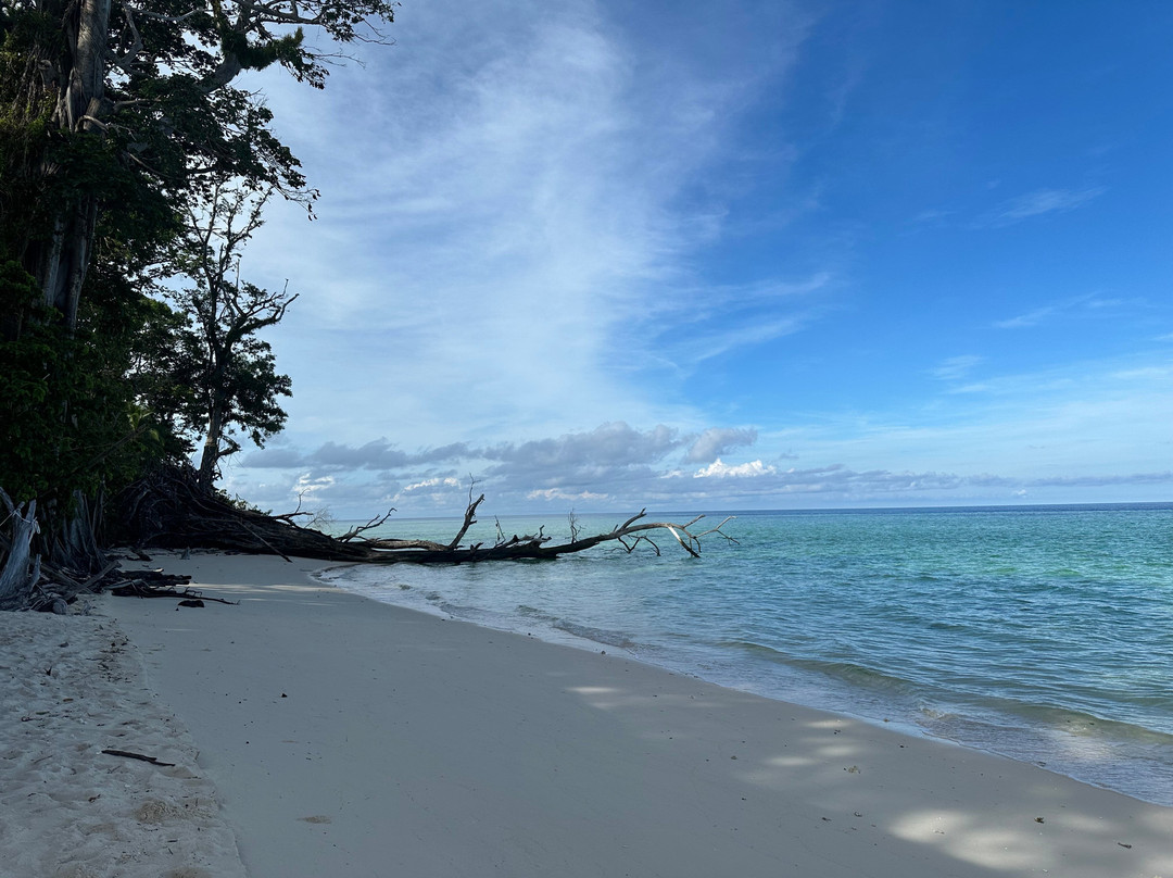 仙本那张叔叔马步岛度假村主图