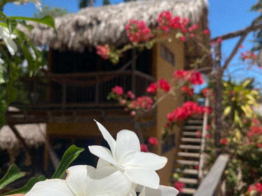 Pousada Rota dos Ventos主图