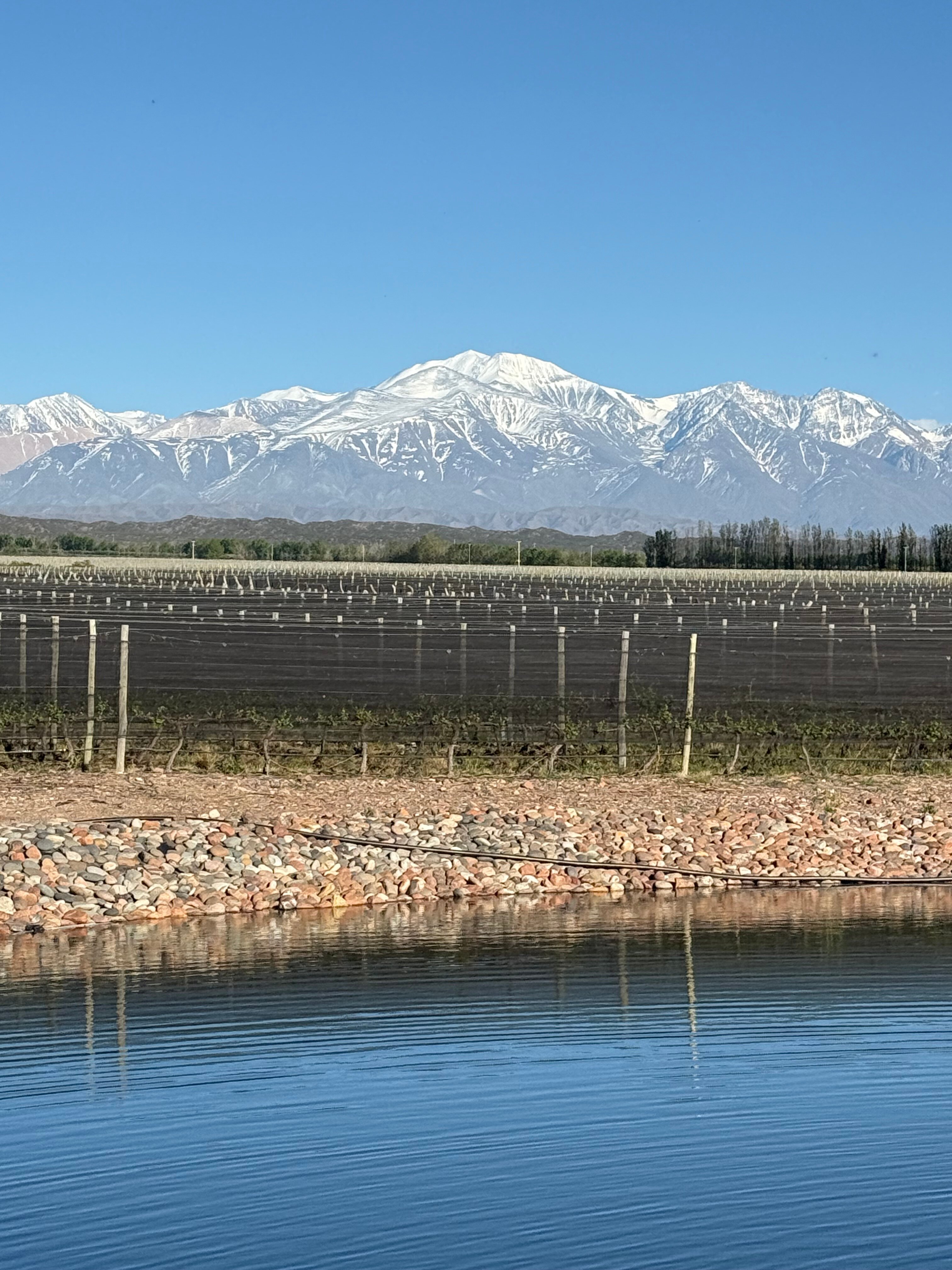 Rosell Boher Winery Lodge & Spa-官方