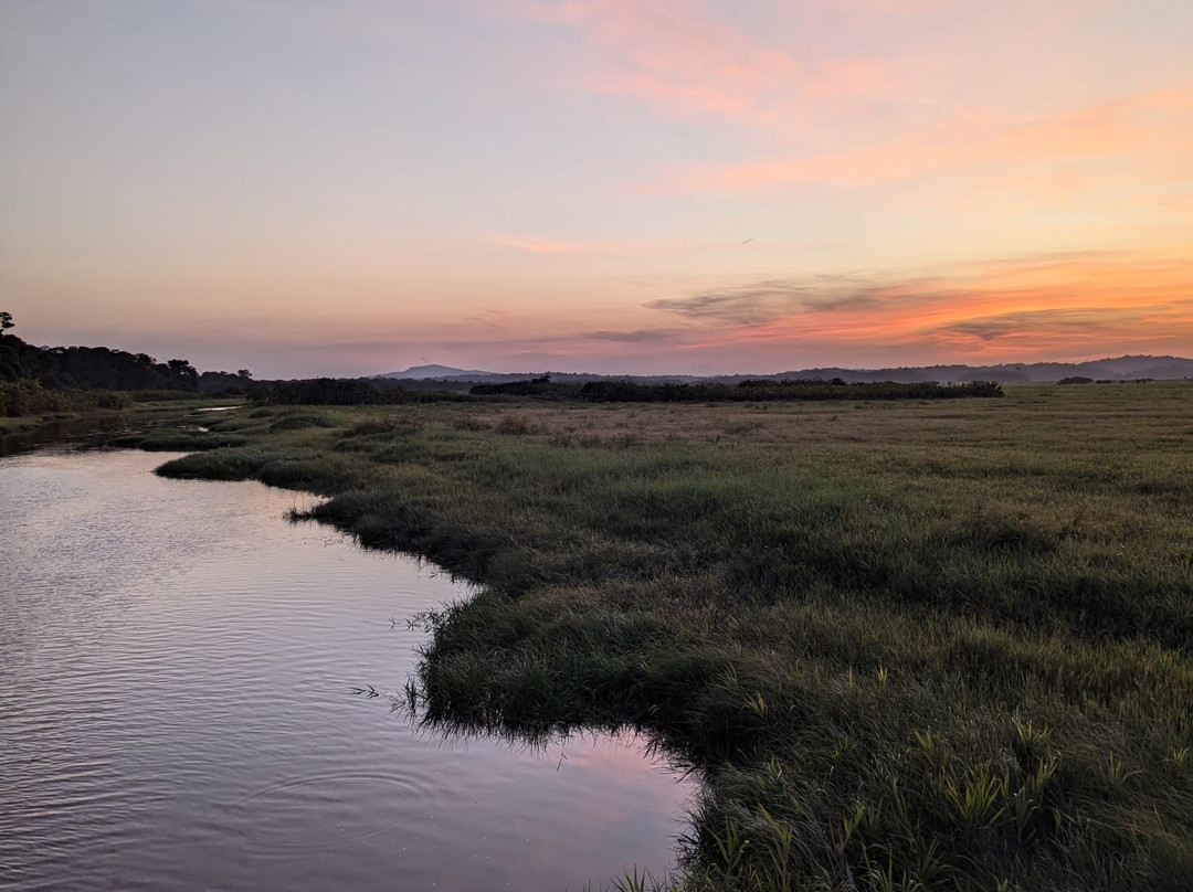 Le Morpho-Roura必去景点
