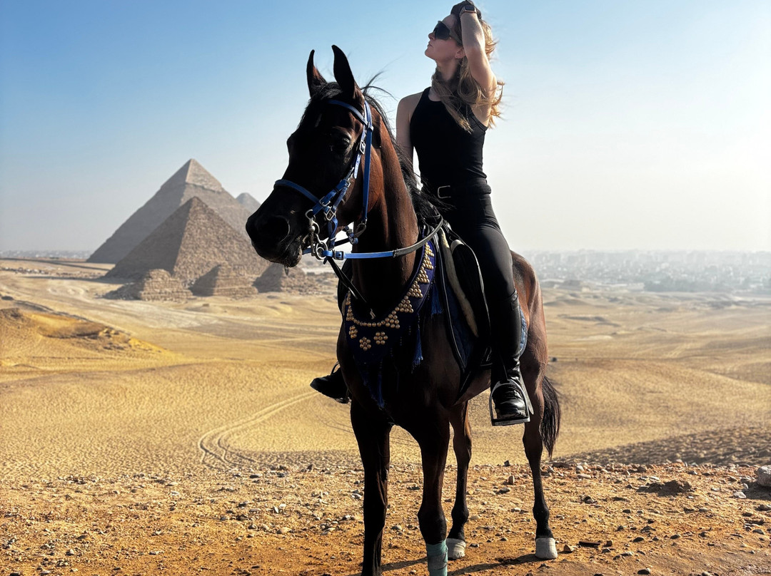 Desert Dreams-卢克索必去景点