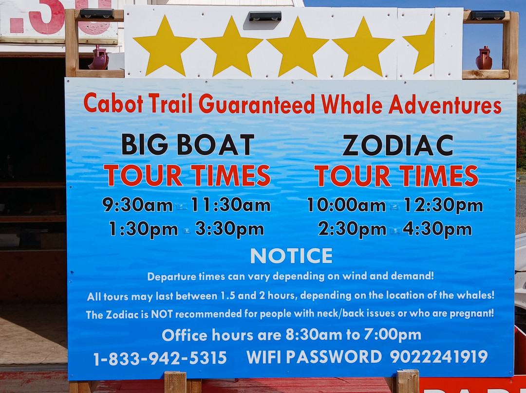 Cabot Trail Guaranteed Whales Adventures-Pleasant Bay必去景点