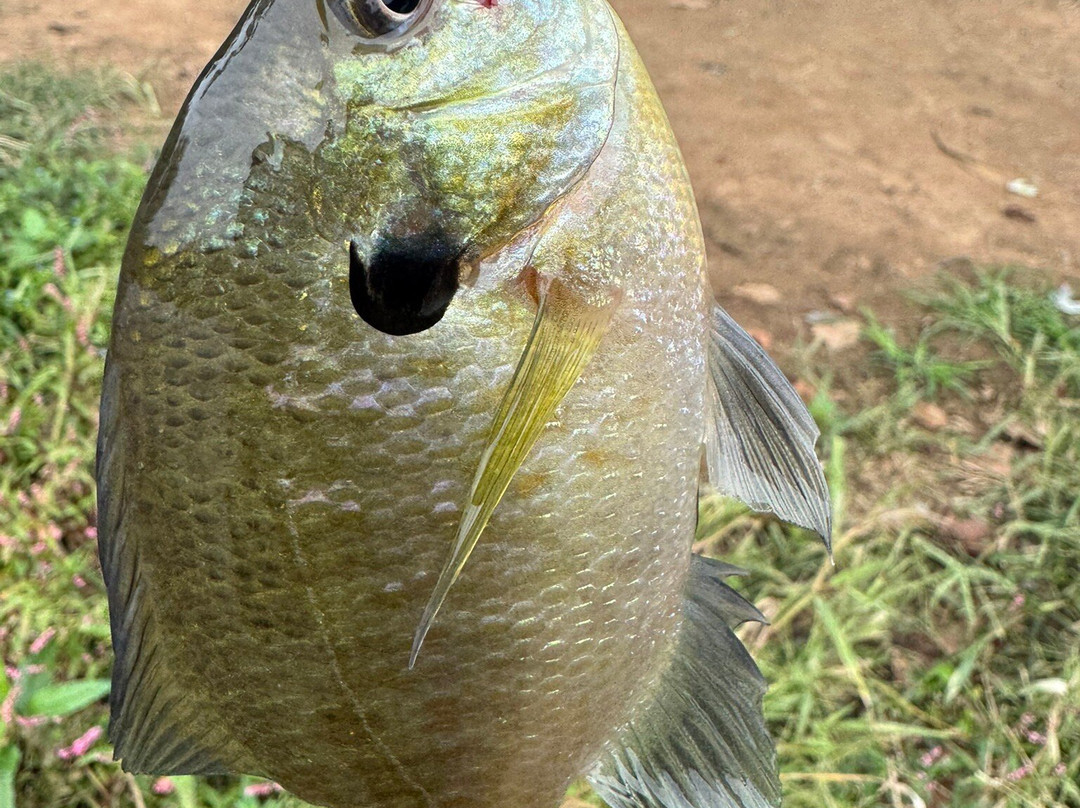 Powhatan State Park-Powhatan必去景点