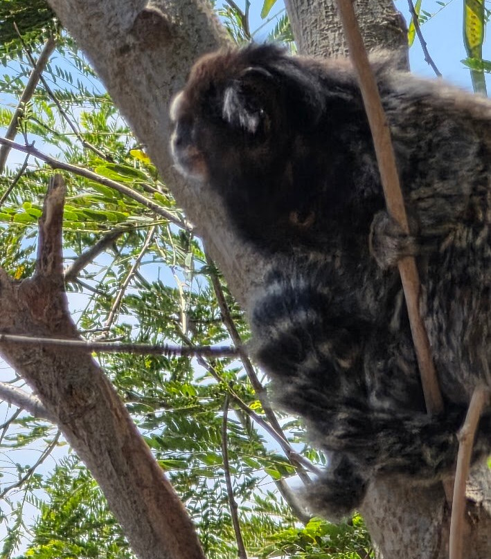 Mirante do Barreiro-伊利亚贝拉必去景点