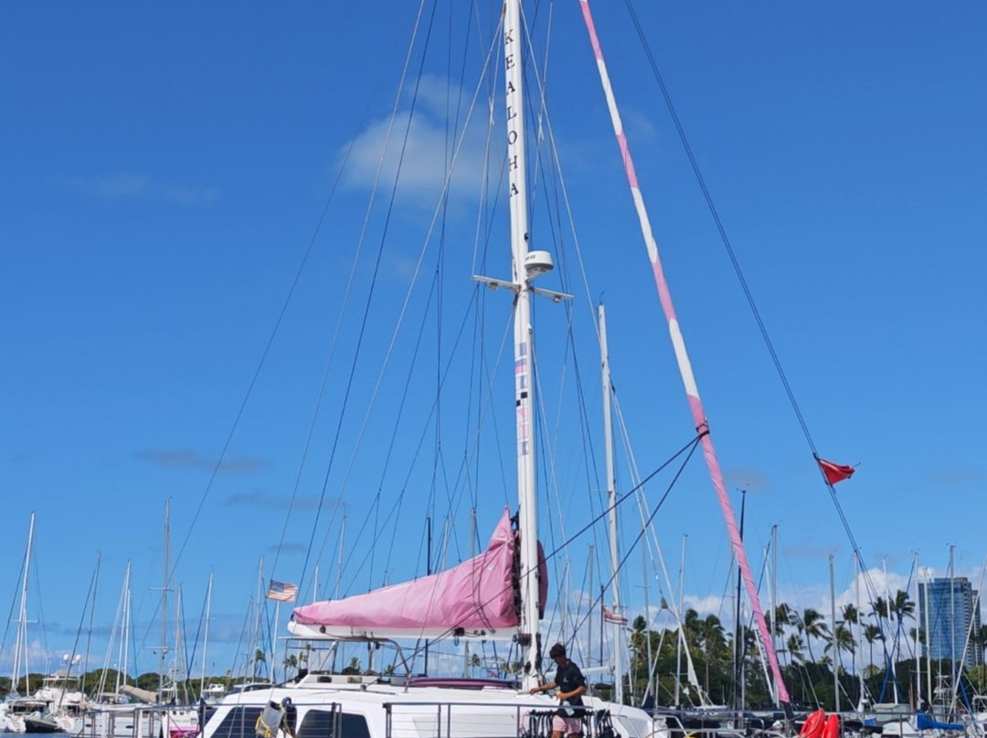 Pink Sails Waikiki-火奴鲁鲁必去景点