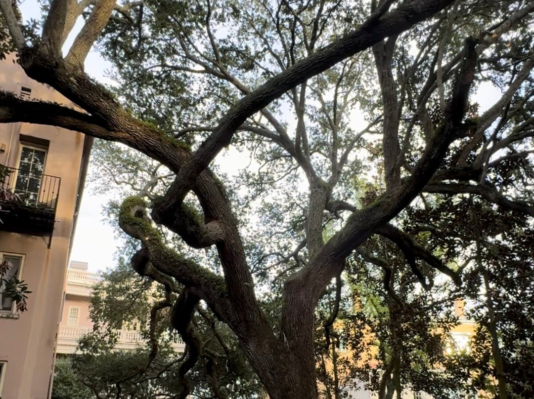 21 East Battery Bed and Breakfast主图