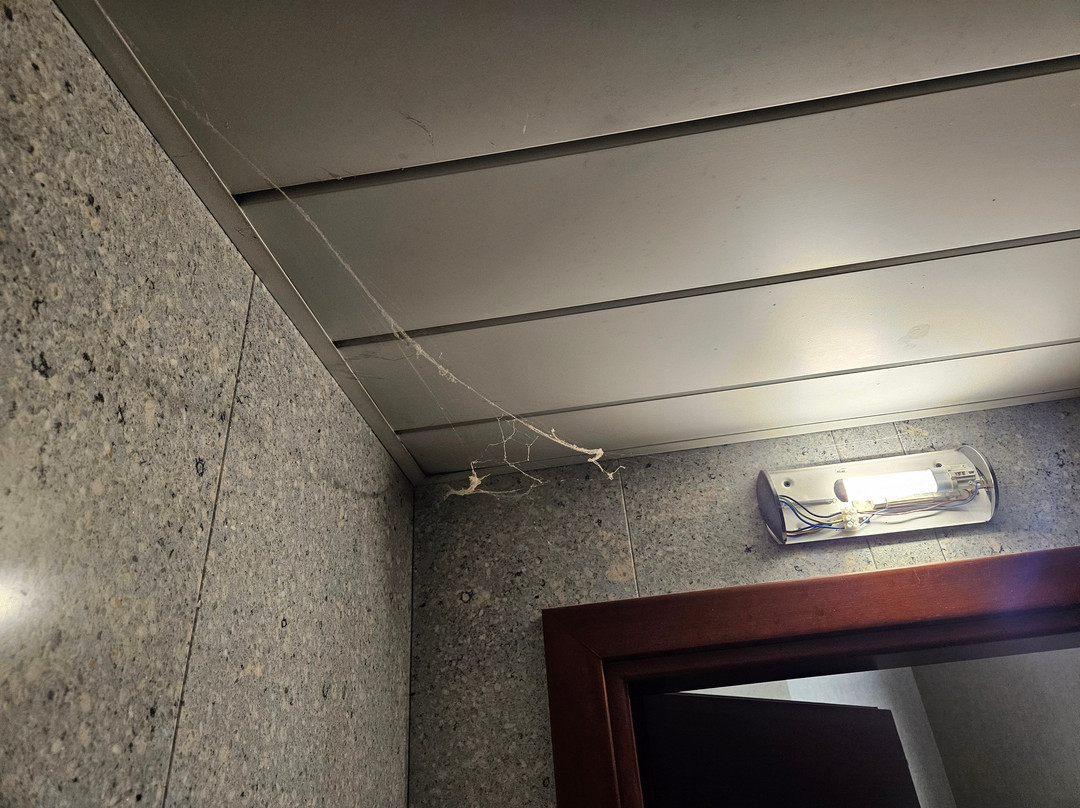 圣乔治酒店主图