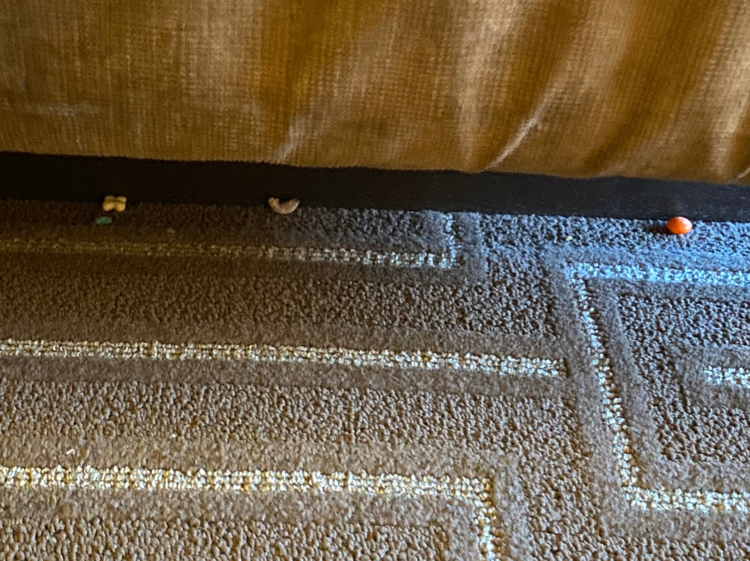 Mountaineer Casino Resort主图