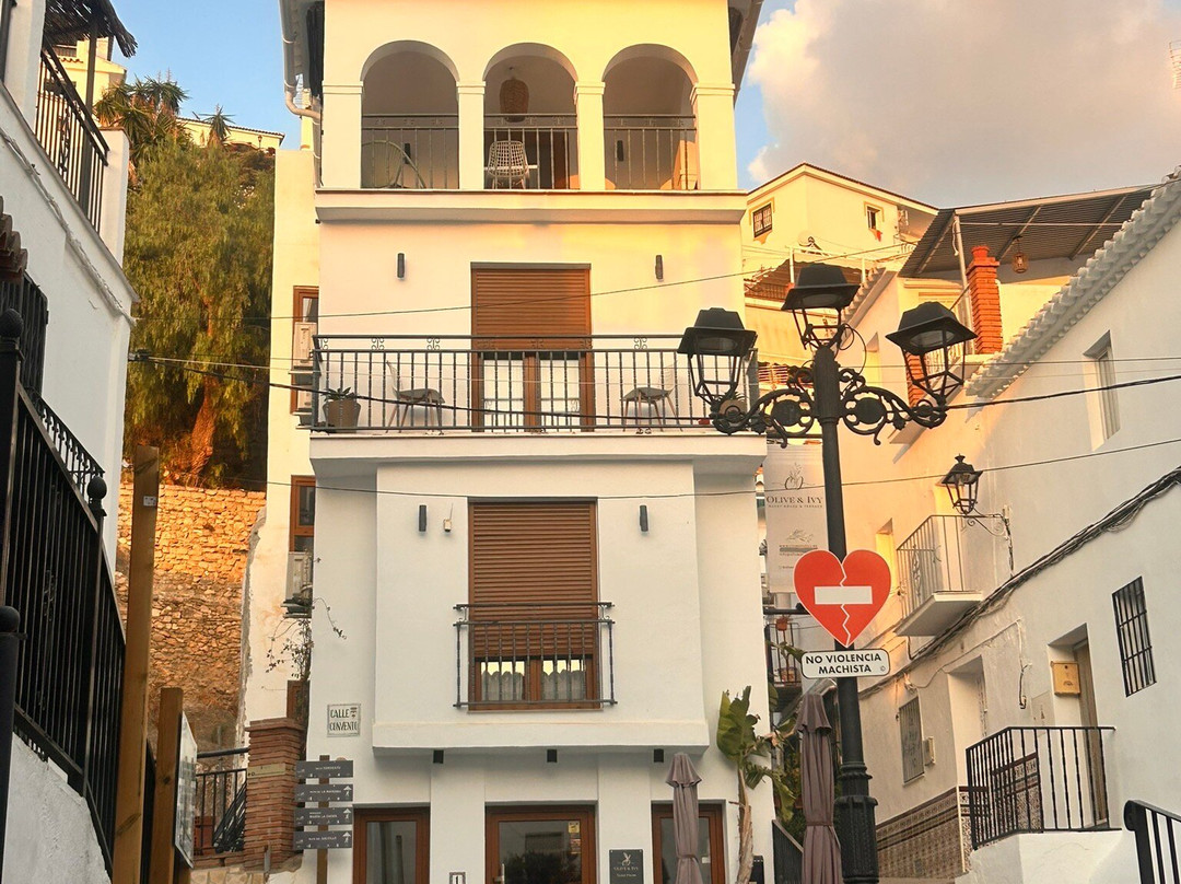 Olive & Ivy Guest House主图