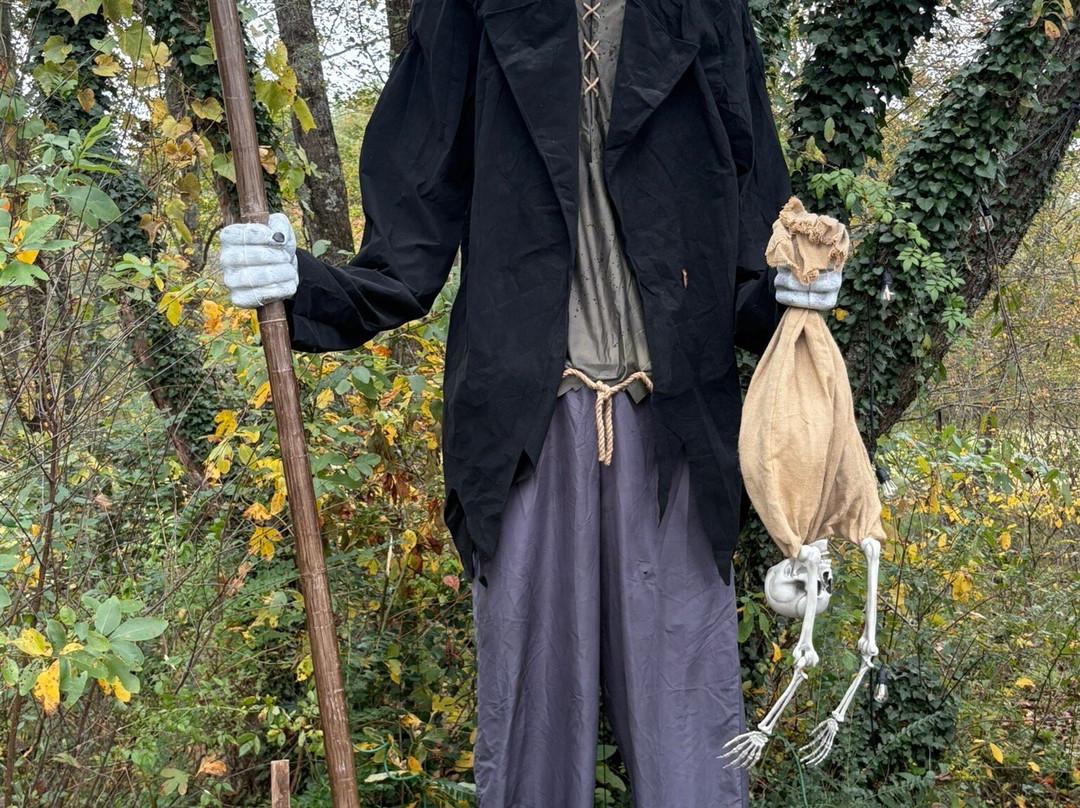 Cedar Mountain Moonshine-Cedar Mountain必去景点