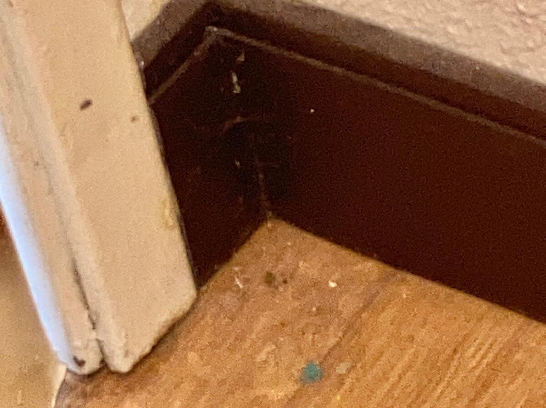 Red Roof Inn Fairmont主图