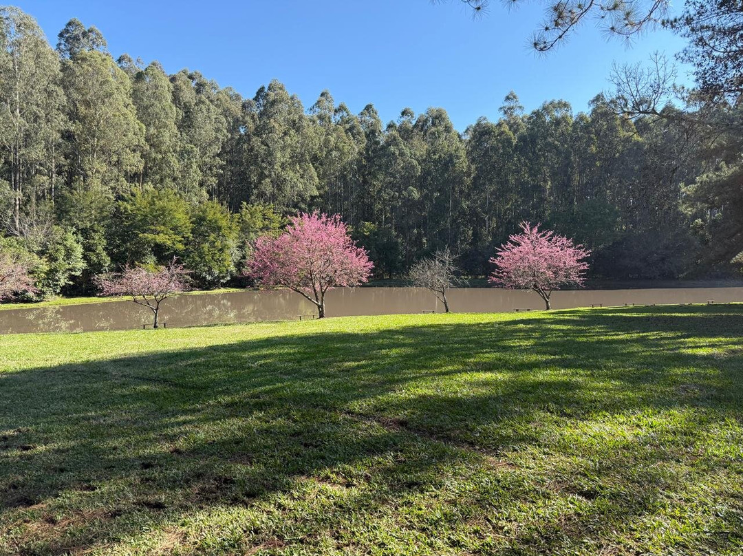 Ózera Hotel Fazenda主图