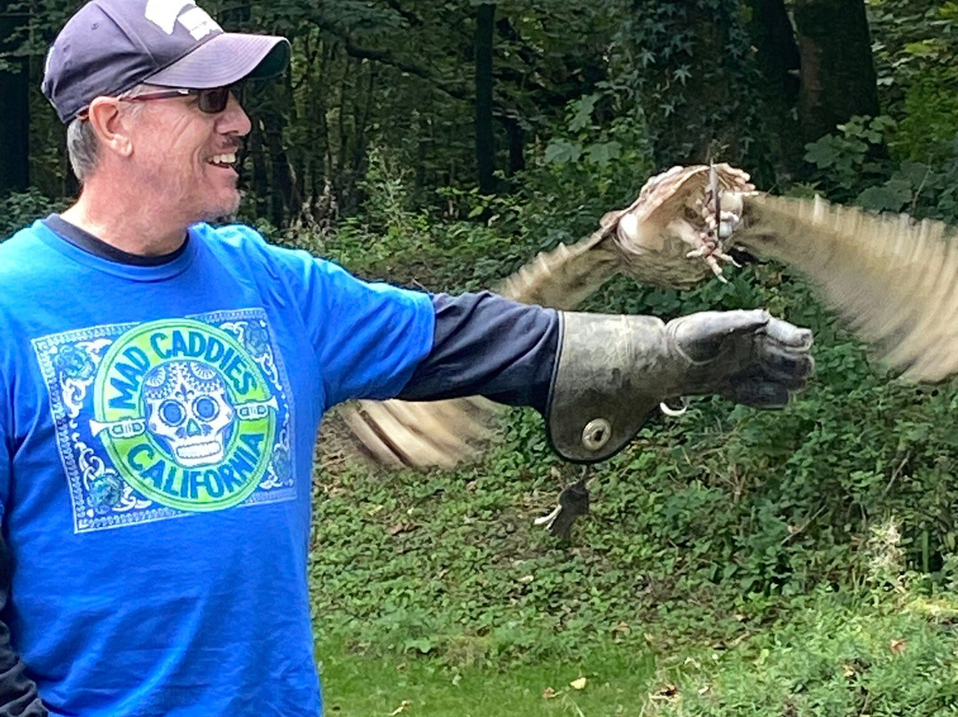 Loch Lomond Bird Of Prey Centre-Balloch必去景点