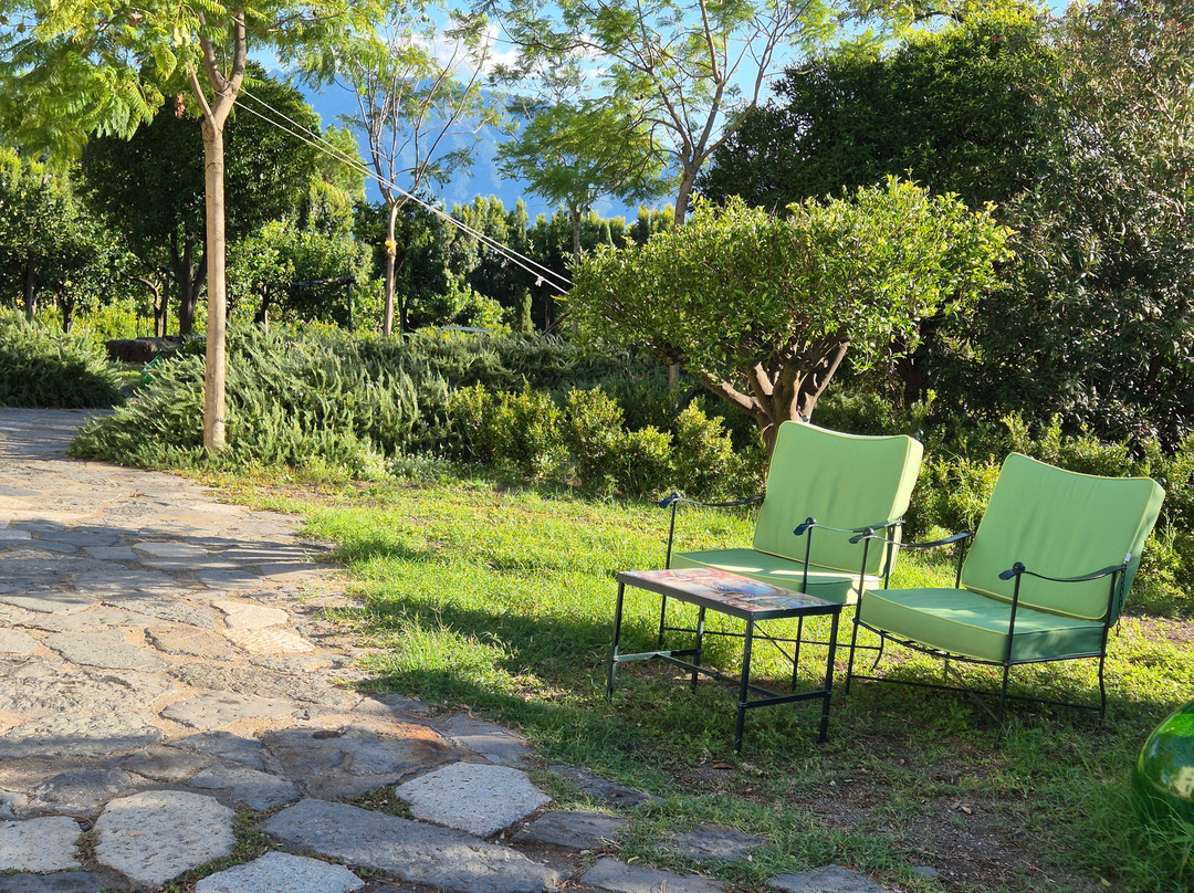 Villa De Cillis Carafa主图